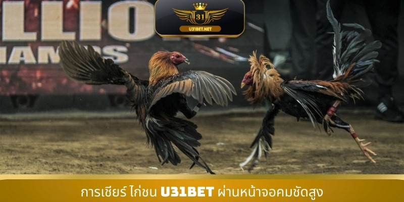 การเชียร์ ไก่ชน U31 ผ่านหน้าจอคมชัดสูง